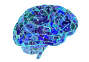 Muscles and Brain: Active Protection Muscles and Brain: Active Protection