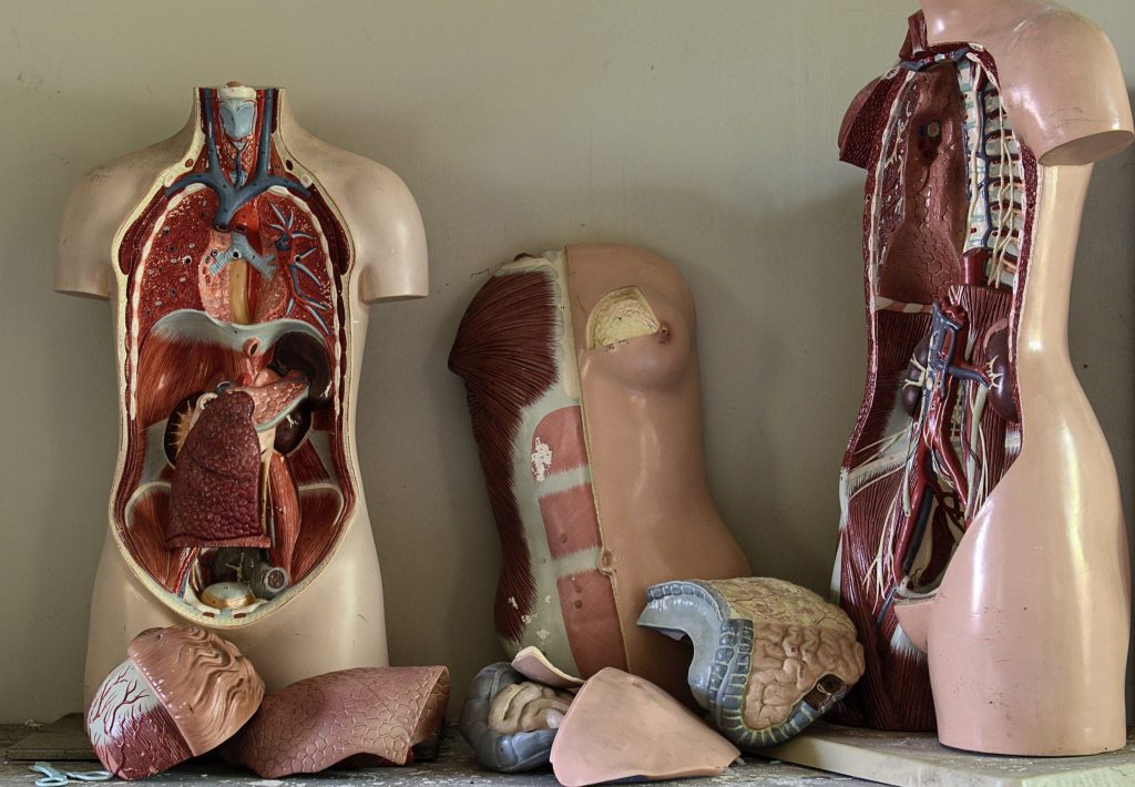 Liver Cleanse: Is Detox Really Possible?