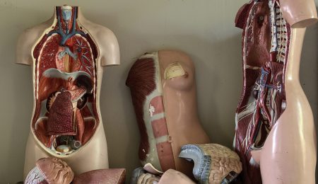 Liver Cleanse: Is Detox Really Possible?